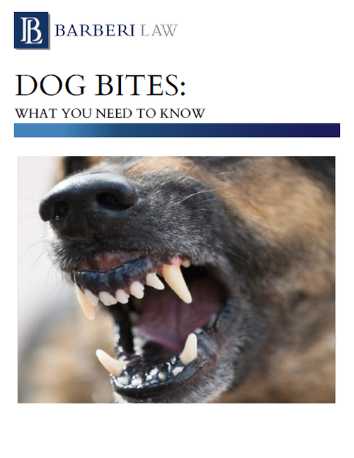 Dog Bites: What You Need to Know